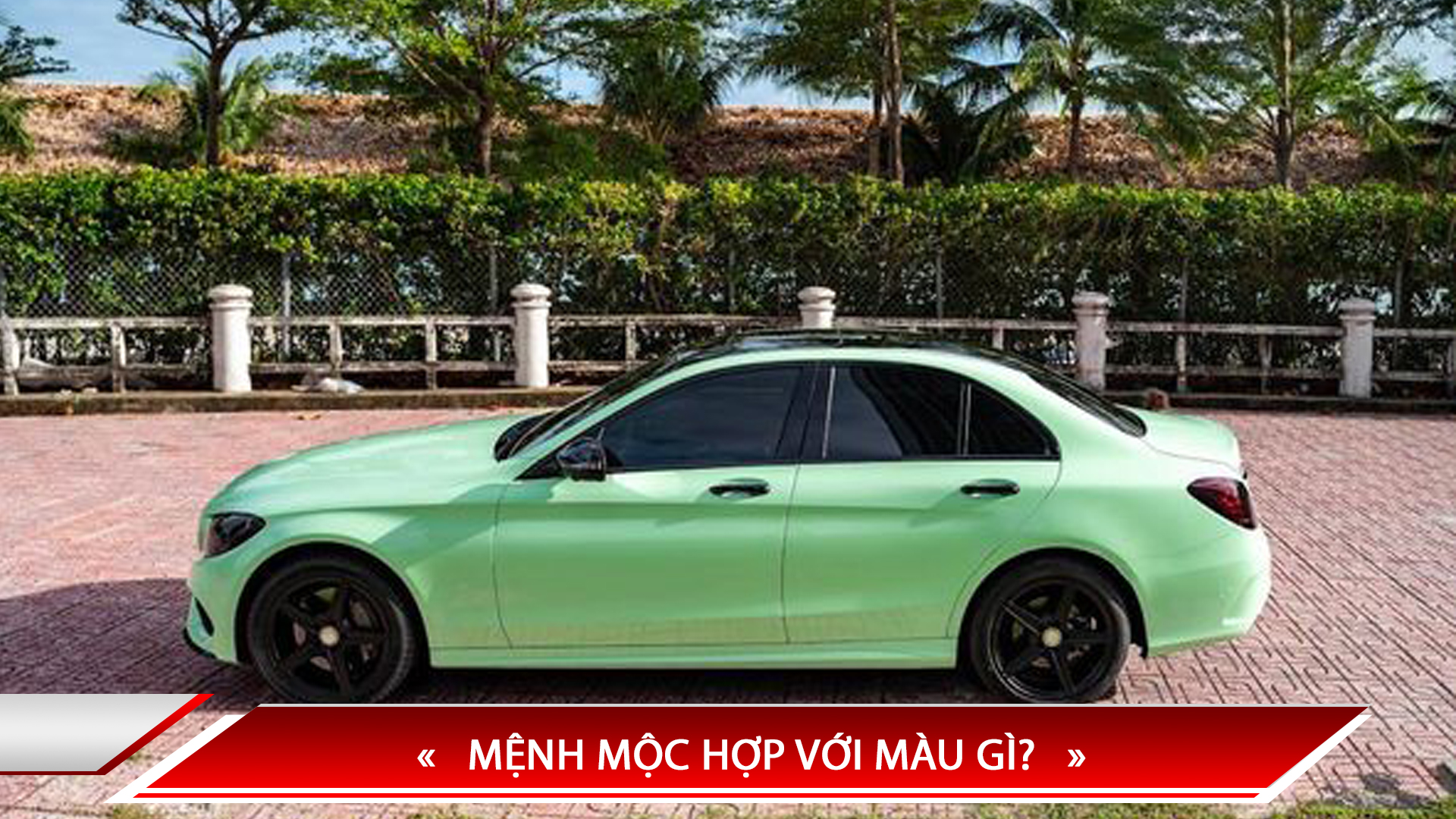 MỆNH MỘC HỢP VỚI MÀU GÌ?